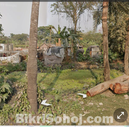 রেডিমেড চাতাল